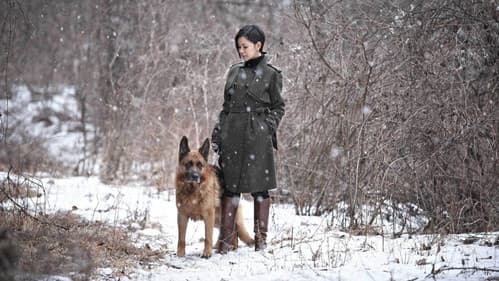 Venus in Furs - imagem 1